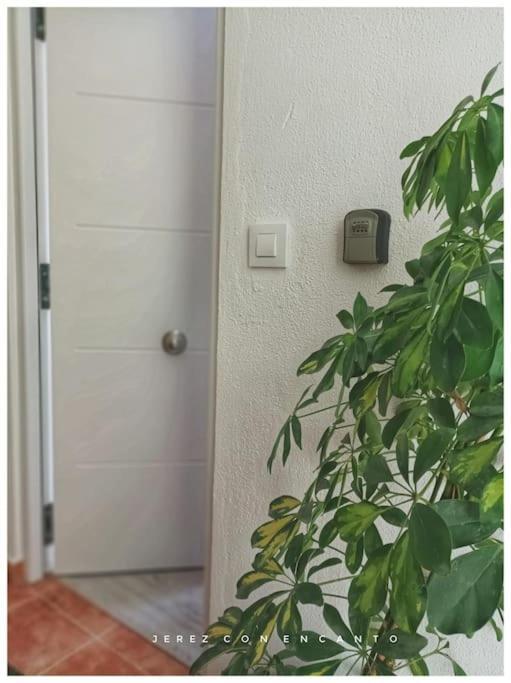 Апартаменти Atico En Pleno Centro De Jerez Sin Ascensor Херес-де-ла-Фронтера Екстер'єр фото